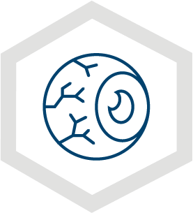 Icon 3 Icon 3