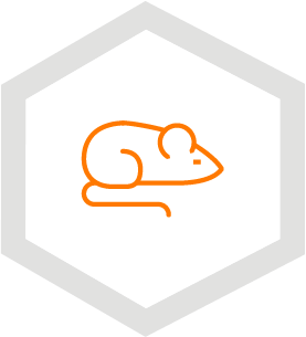 Icon 5 Icon 5